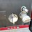 #1017-•-1985-retired-firetruck-(has-wi-title)-image-44