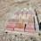 2-pallets-of-paver-bricks-image-4
