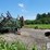 allis-chalmers-24-image-3