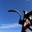 wil-rich-13qx2-55-image-36