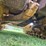 caterpillar-d7-image-20