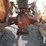 ford-3600-image-6