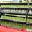 case-ih-1020-image-13