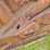 caterpillar-d7-image-59
