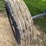 neco-grain-cleaner-image-7