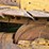 caterpillar-d7-image-5