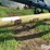 harvest-international-h1062-image-19