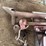 misc-ih-parts-image-3