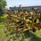 alloway-rau-image-8