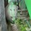 1982-john-deere-6620-image-16