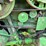 john-deere-6620-image-25