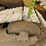 caterpillar-931b-image-60