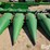 2011-john-deere-608c-stalkmaster-image-11