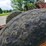 caterpillar-d7-image-56