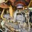 caterpillar-931b-image-32