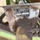 parker-200bu-seed-tender-wagon-image-12