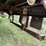 #1021-•-2003-stoughton-53'-trailer-(wi-title-in-delay)-image-20