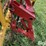 2007-new-holland-216-image-18