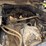 2000-freightliner-fld112-image-37