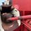 #204793-•-case-ih-1150-feed-grinder-image-9