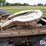 2006-kenworth-w900l-image-20