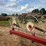 #26606-•-sitrex-columbia-tr1113-hay-rake-image-41