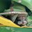 2013-john-deere-635fd-image-3