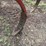 bush-hog-3pt-14-shank-chisel-image-12