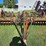 glencoe-9-shank-disc-chisel-image-10