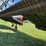 case-ih-8210-image-16