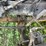 #1017-•-1985-retired-firetruck-(has-wi-title)-image-62