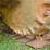caterpillar-d7-image-79