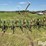 john-deere-er014-image-6