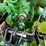 john-deere-a-image-26