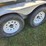 ads-bulk-seed-buggy-image-11