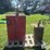 oil-tanks-image-6