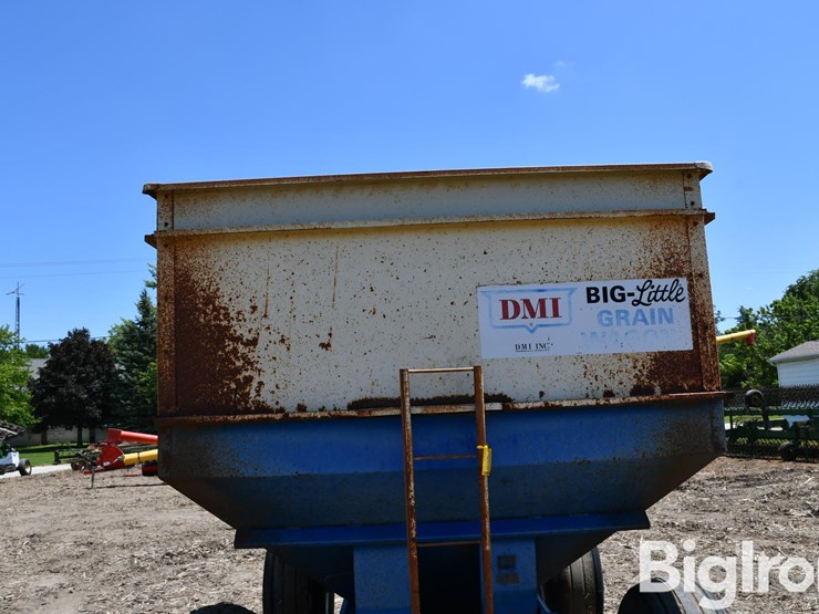 dmi-big-little-image-12