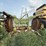 2000-claas-jaguar-880-image-35