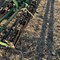 2-day-pre-harvest-equipment-consignment-auction---day-1-image-5