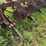 case-ih-30-image-7