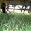 #1827-•-new-holland-green-chopper-image-18