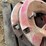 1-set-of-ih-full-wheel-weights-image-2