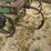 john-deere-100-image-18