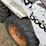 bobcat-543b-image-13