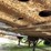 #1021-•-2003-stoughton-53'-trailer-(wi-title-in-delay)-image-13