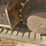 caterpillar-303cr-image-7