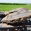 1996-peterbilt-377-image-11