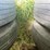 #1022-•-1996-great-dane-refrigerated-trailer-(has-wi-title)-image-33