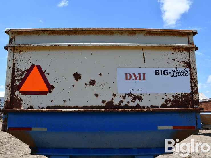 dmi-big-little-image-13