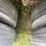 #1022-•-1996-great-dane-refrigerated-trailer-(has-wi-title)-image-35
